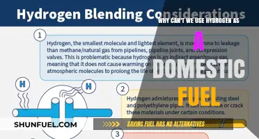 Hydrogen's Domestic Fuel Challenge: Safety, Storage, and Infrastructure Barriers