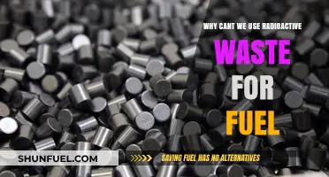 Radioactive Waste as Fuel: Feasibility, Risks, and Energy Alternatives