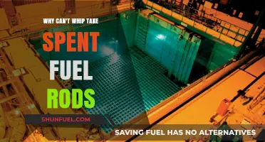Why Whip Can't Handle Spent Fuel Rods: Key Limitations Explained