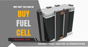 Why Fuel Cells Remain Elusive: Barriers to Loans and Purchases