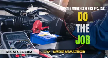 Car Batteries vs Fuel Cells: Why the Competition?
