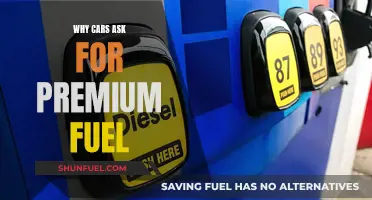 Unlocking the Mystery: Why Cars Demand Premium Fuel