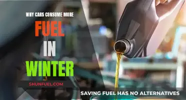 Winter Fuel Woes: Why Your Car Craves More Gas in Cold Weather