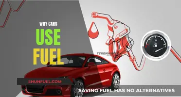 Cars' Fuel Usage: Understanding the Necessity