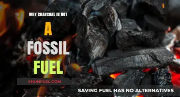 Charcoal vs. Fossil Fuels: Understanding the Key Differences
