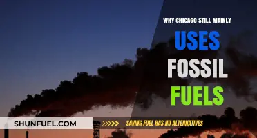 Chicago's Energy Dilemma: Fossil Fuels Dominate Despite Green Alternatives