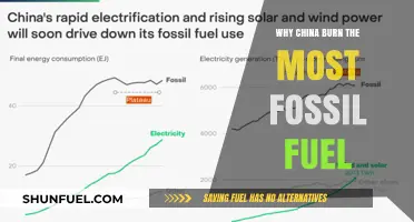 China's Fossil Fuel Dominance: Unraveling the Reasons Behind High Consumption