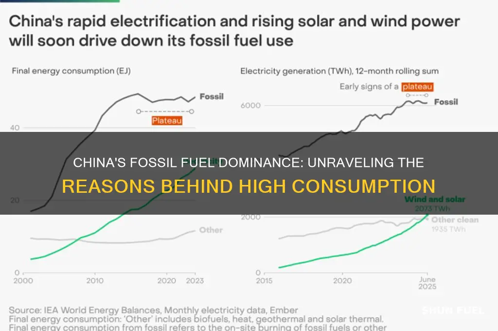 why china burn the most fossil fuel