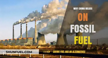 China's Energy Dilemma: The Persistent Dependence on Fossil Fuels