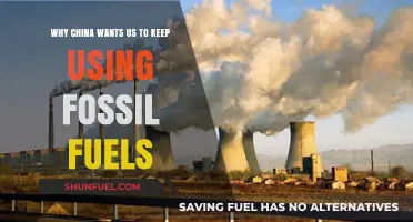 China's Fossil Fuel Strategy: Why They Want Us Dependent