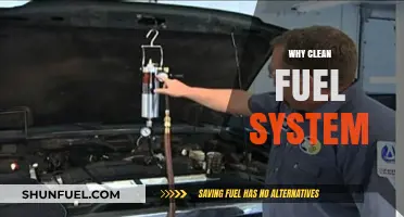 Revitalize Your Ride: The Power of a Clean Fuel System