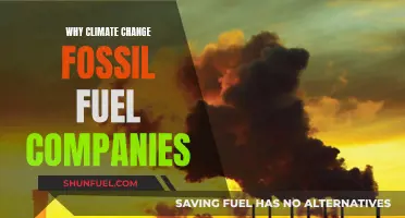 Fossil Fuel Companies: The Climate Change Culprits?