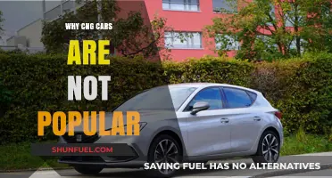 Exploring the Reasons Behind CNG Cars' Lack of Popularity