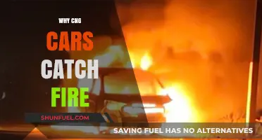 Exploring the Risks: Why CNG Cars Catch Fire
