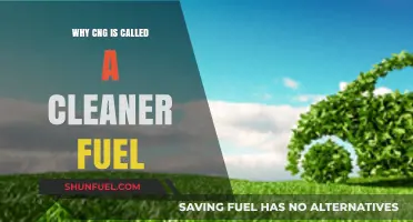 Exploring CNG: The Environmental Benefits of a Cleaner Fuel Alternative