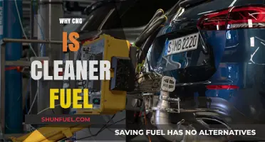 Eco-Friendly Driving: The Benefits of CNG as a Cleaner Fuel