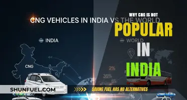 Exploring the Reasons Behind CNG's Limited Popularity in India