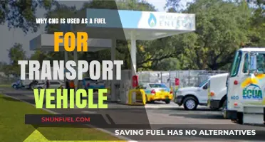 CNG Fuel: Eco-Friendly, Cost-Effective Transport Solution Explained
