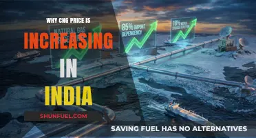 Understanding the Surge: Factors Driving CNG Price Increases in India