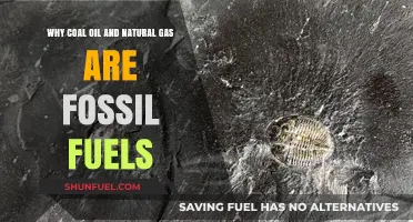 Understanding Fossil Fuels: Coal, Oil, and Natural Gas Explained