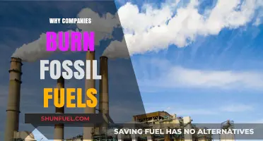 Why Companies Still Rely on Fossil Fuels: Economic and Practical Reasons