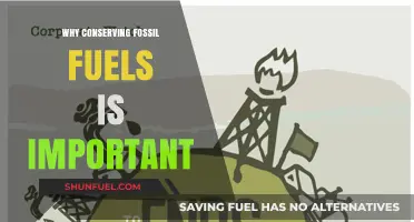 Preserving Fossil Fuels: A Crucial Step for a Sustainable Future