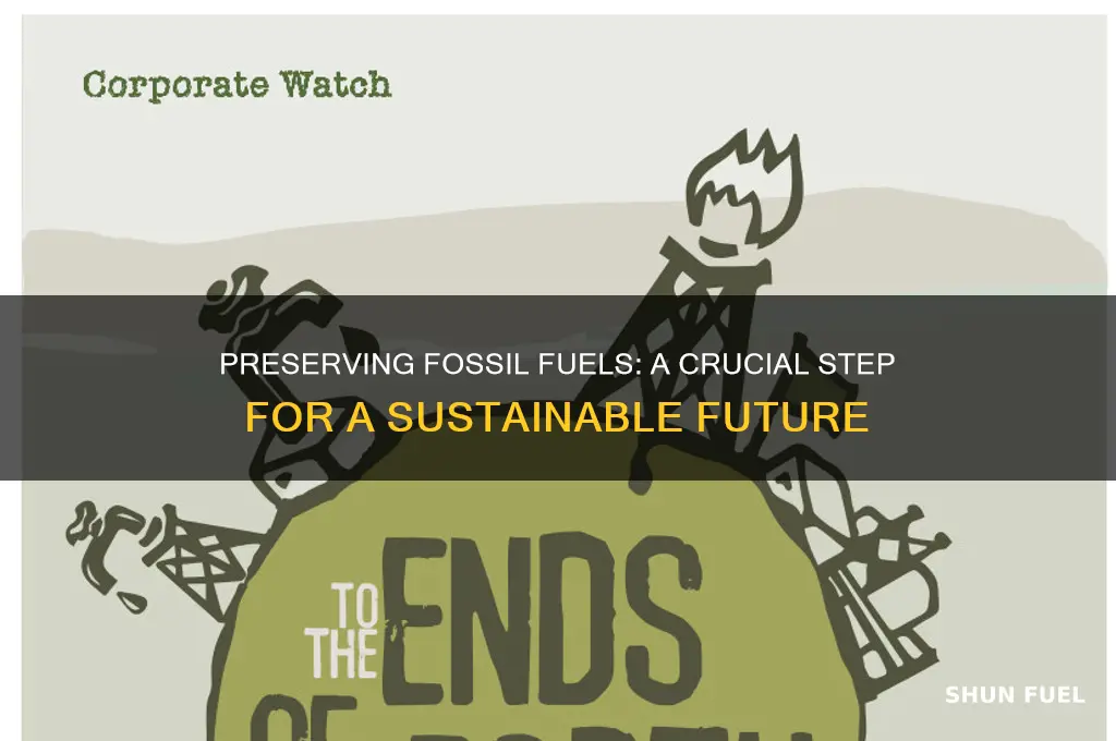 why conserving fossil fuels is important