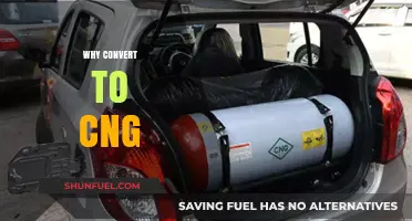 Eco-Friendly and Economical: The Smart Shift to CNG Vehicles