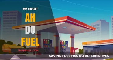 Exploring the Challenges of Fueling Up: A Personal Journey
