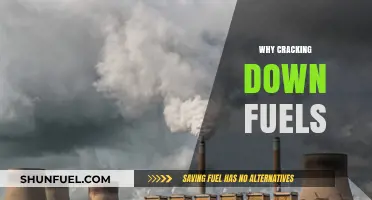 Why Cracking Down on Fossil Fuels is Key to a Sustainable Future