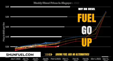Diesel Fuel Surge: Understanding the Price Hike