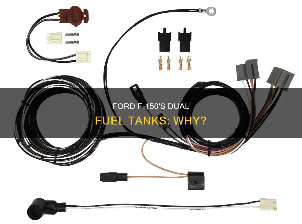 why did ford put dual fuel tanks on older f150s