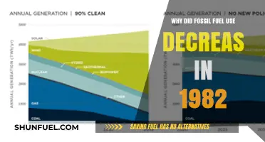 1982's Fossil Fuel Decline: Economic Shifts and Energy Alternatives