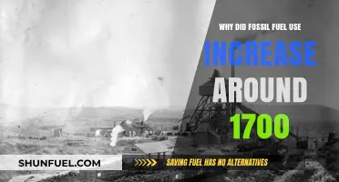The Industrial Revolution's Rise: How Fossil Fuels Fueled 1700s Growth