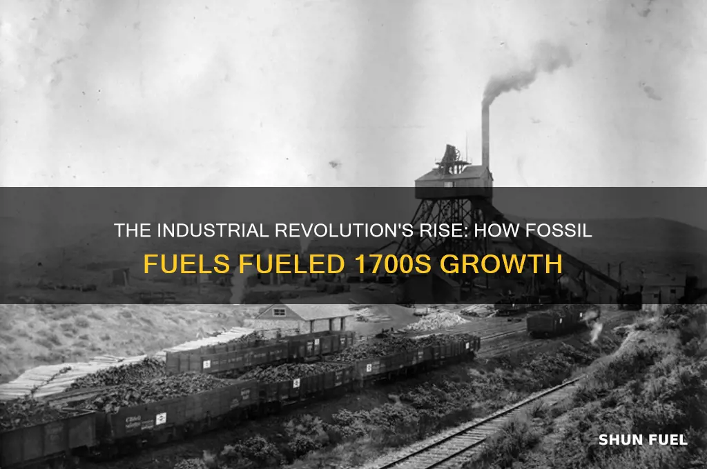 why did fossil fuel use increase around 1700