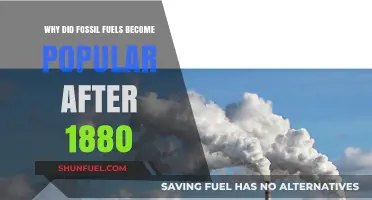 The Rise of Fossil Fuels: Post-1880 Industrial Revolution Catalyst
