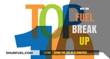 The Sudden Split: Unraveling the Reasons Behind Fuel's Breakup