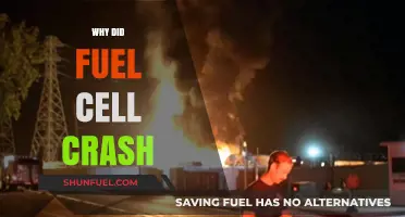 The Downfall of Fuel Cells: An In-Depth Analysis