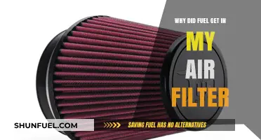 Fuel-Soaked Air Filter: What Went Wrong?