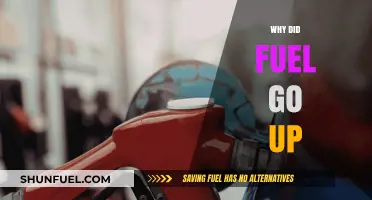 Exploring the Surge: Why Fuel Prices Skyrocketed Recently