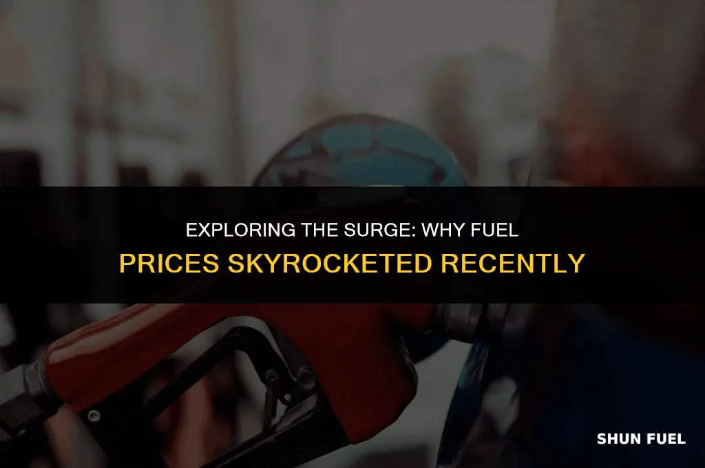 why did fuel go up