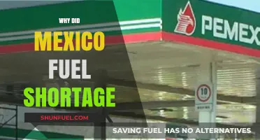 Unraveling the Complex Causes of Mexico's Fuel Shortage Crisis