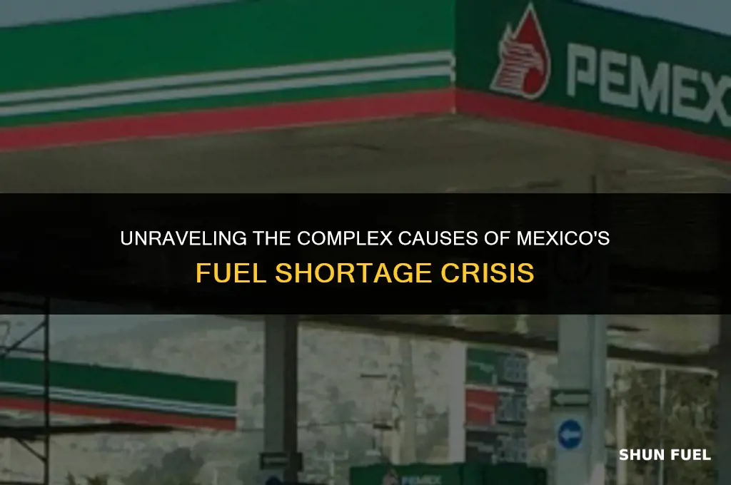 why did mexico fuel shortage