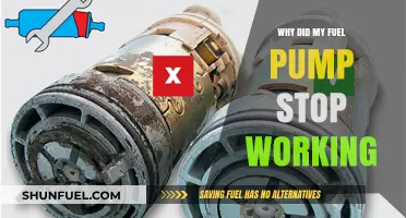 Why Did My Fuel Pump Fail? Common Causes and Solutions