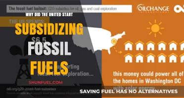 Why the U.S. Began Subsidizing Fossil Fuels: A Historical Analysis