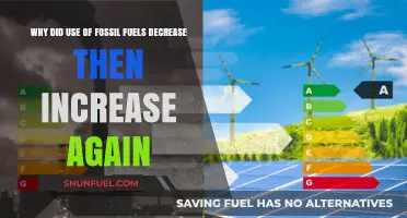 Fossil Fuels' Decline and Revival: Unraveling the Energy Shift