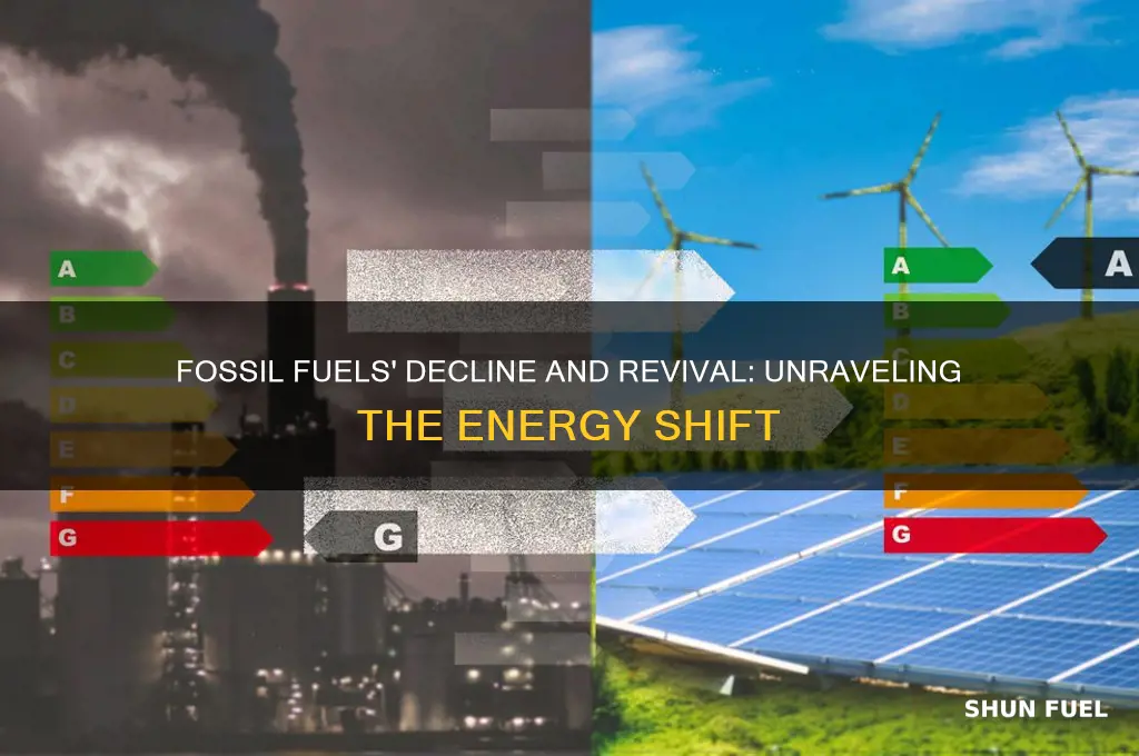 why did use of fossil fuels decrease then increase again
