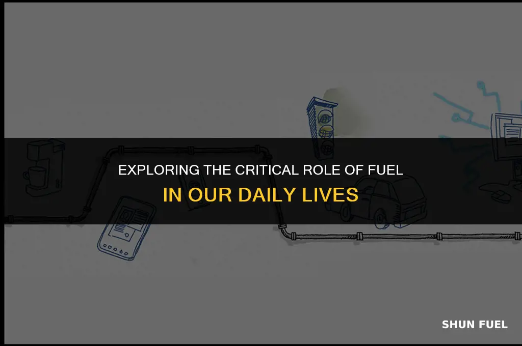 why did we need fuel