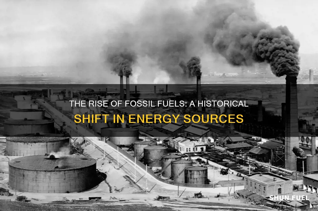 why did we start using fossil fuels