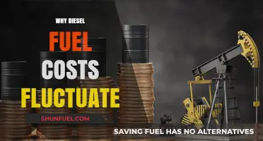 Understanding Diesel Fuel Cost Fluctuations